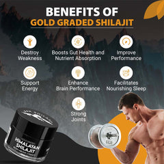 Himalayan Shilajit (Gold Graded Resin)