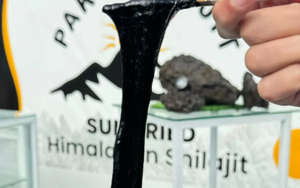 Close-up of raw shilajit resin stretching from a steel spatula